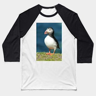 Posing Puffin III Baseball T-Shirt